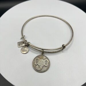 Alex and Ani Elephant Charm Bangle